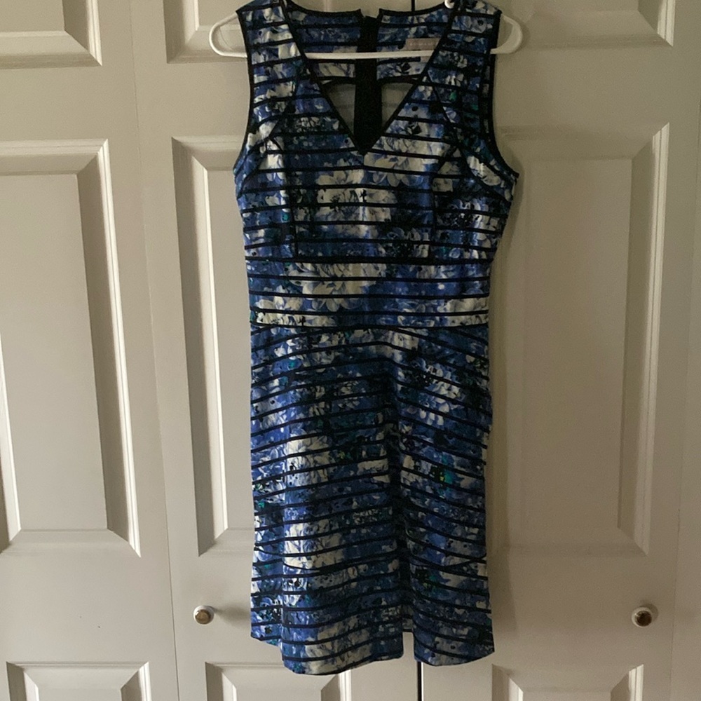 Banana Republic Blue Floral Striped Sleeveless Dress
